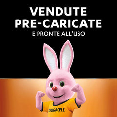 AA 2500MAH DURACELL RICARICABILE PILA BL2 - koseakasa