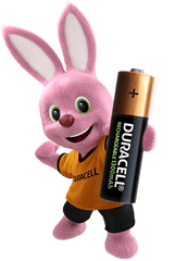 AA 2500MAH DURACELL RICARICABILE PILA BL2 - koseakasa