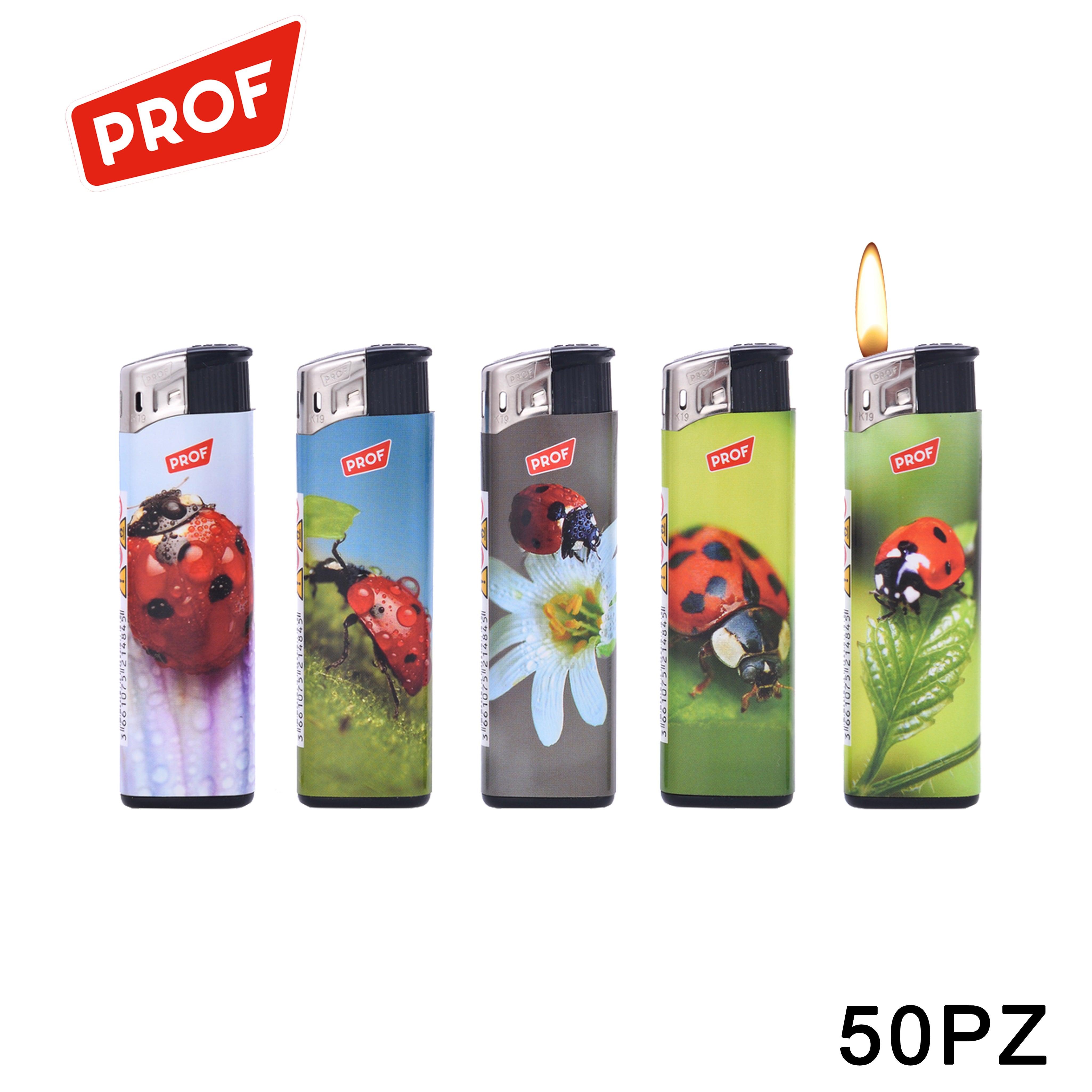 ART.41803824 PROF ACCENDINO LADY BUGS CONF.50 - koseakasa