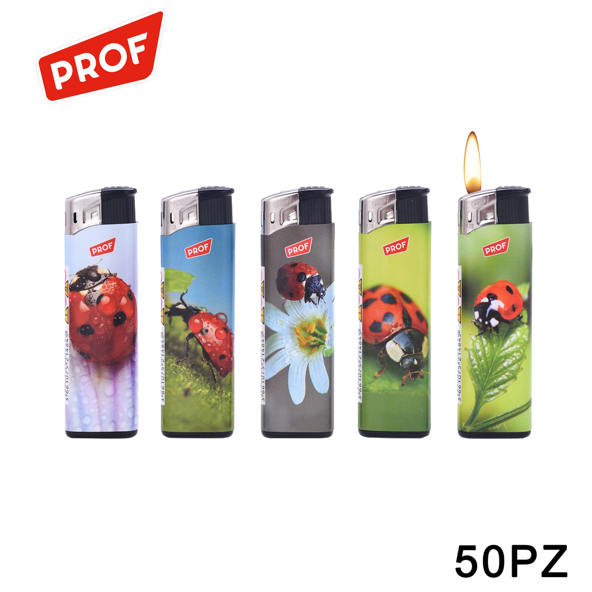 ART.41803824 PROF ACCENDINO LADY BUGS CONF.50 - koseakasa