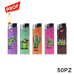 ART.41804537 PROF ACCENDINO CACTUS CONF.50PZ - koseakasa