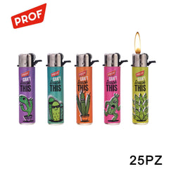 ART.40009567 PROF ACCENDINO CACTUS CONF.25PZ - koseakasa
