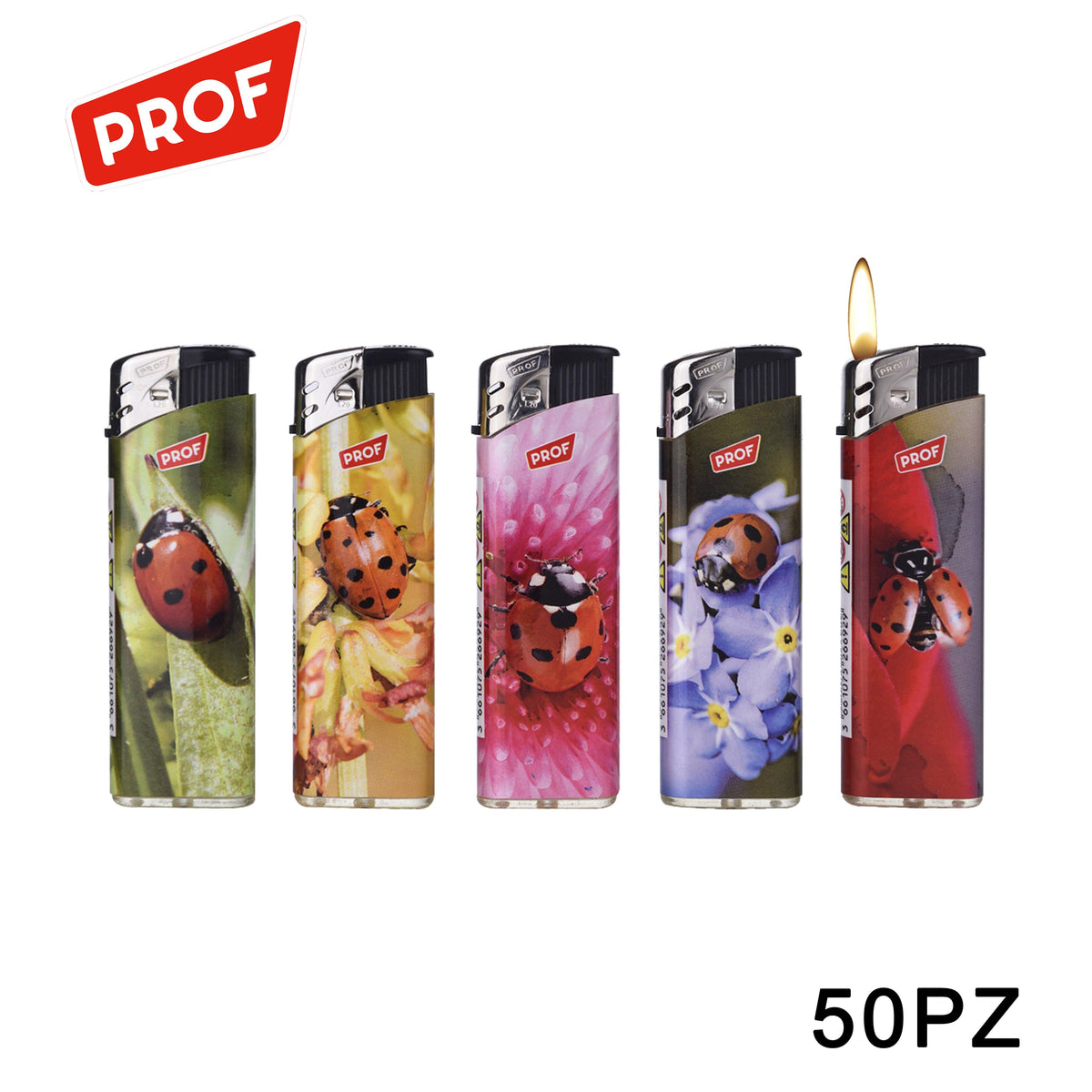 ART.42803824 PROF ACCENDINO LADY BUGS CONF.50PZ - koseakasa