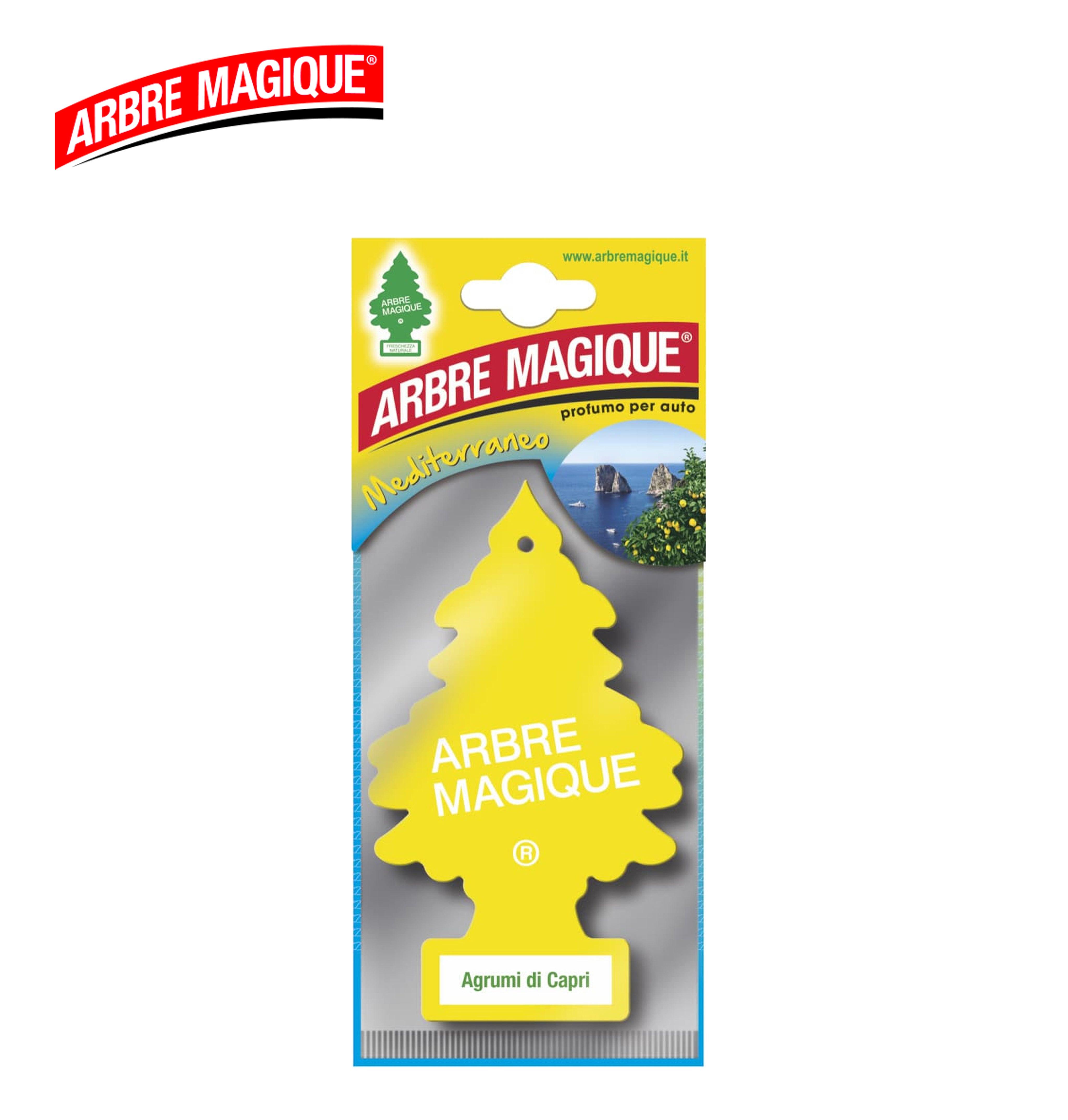 AGRUMI DI CAPRI ARBRE MAGIQUE ART.102326 1PZ - koseakasa