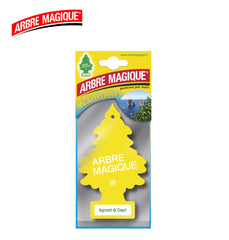 AGRUMI DI CAPRI ARBRE MAGIQUE ART.102326 1PZ - koseakasa